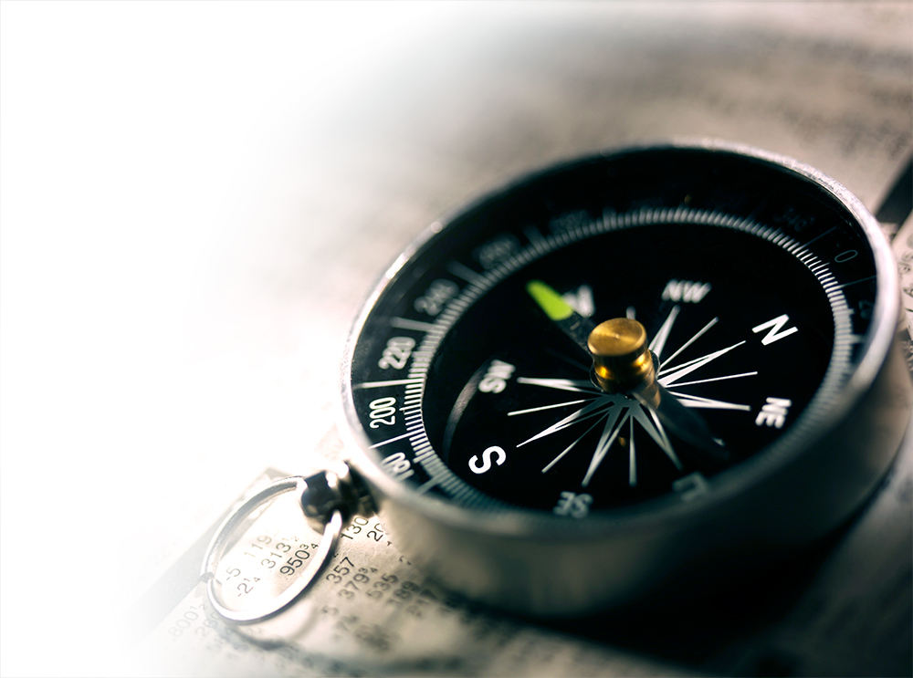 Professional navigating complex financial decisions